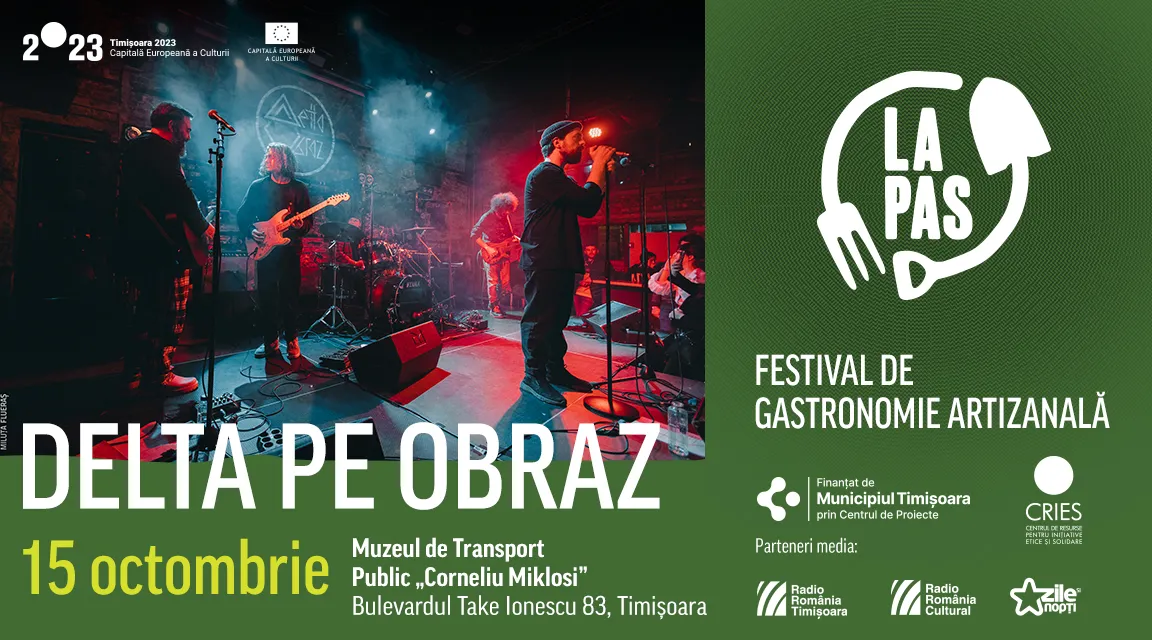 Concert Delta Pe Obraz | Festivalul LA PAS