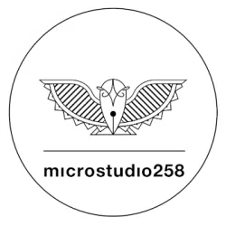 Logo Microstudio 258