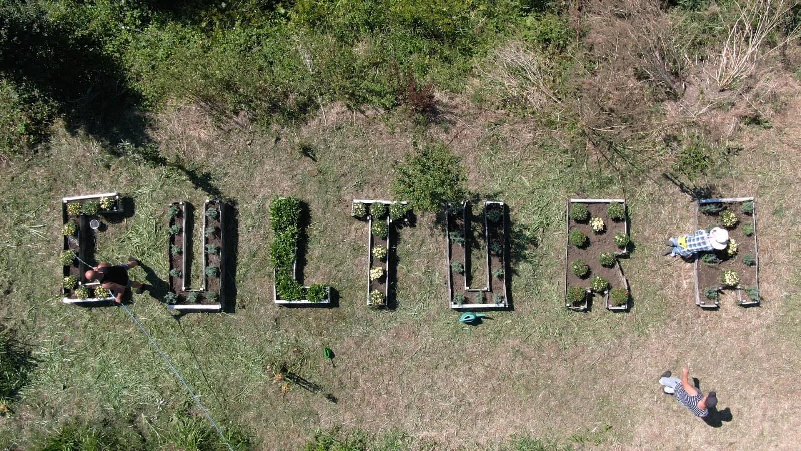 Grădinescu GreenFeel