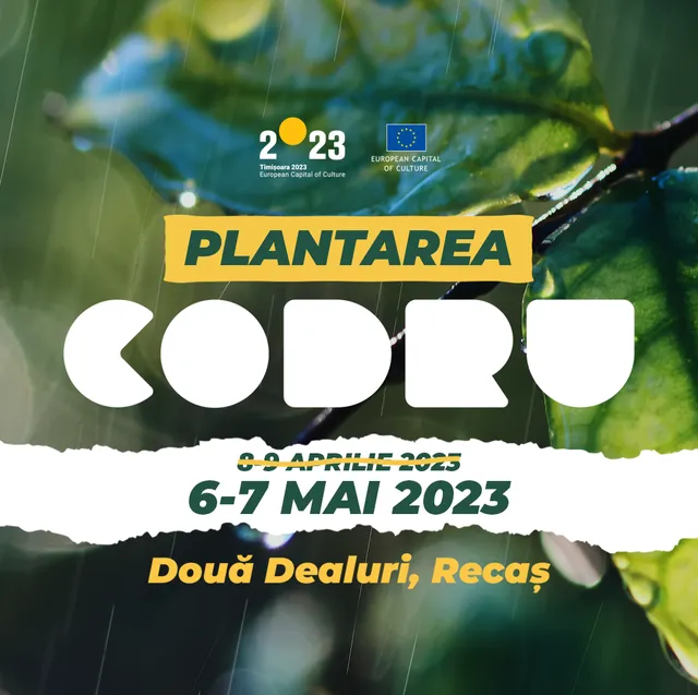 Plantarea CODRU