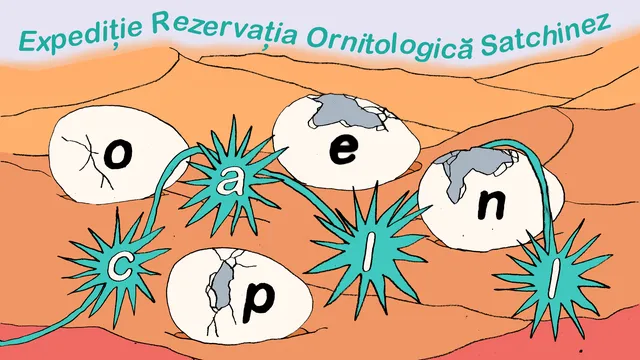 Expediție la Rezervația Ornitologică Satchinez