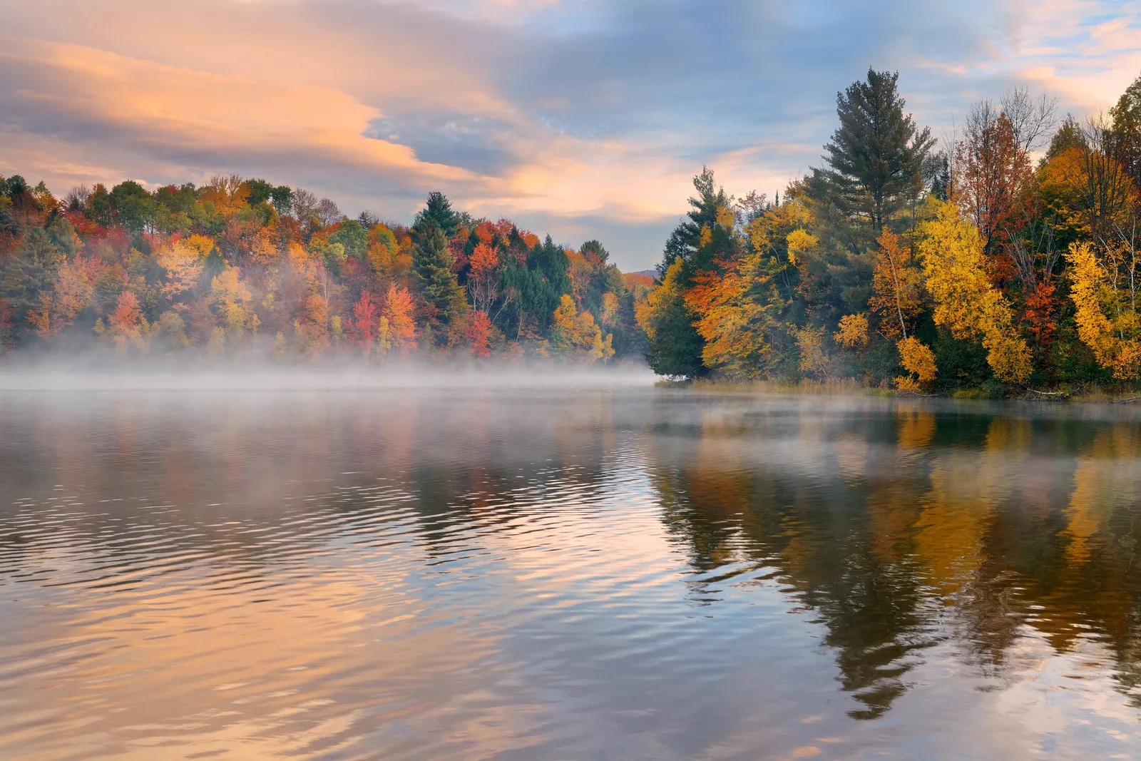 Melancholy of October | Incanto Quartetto