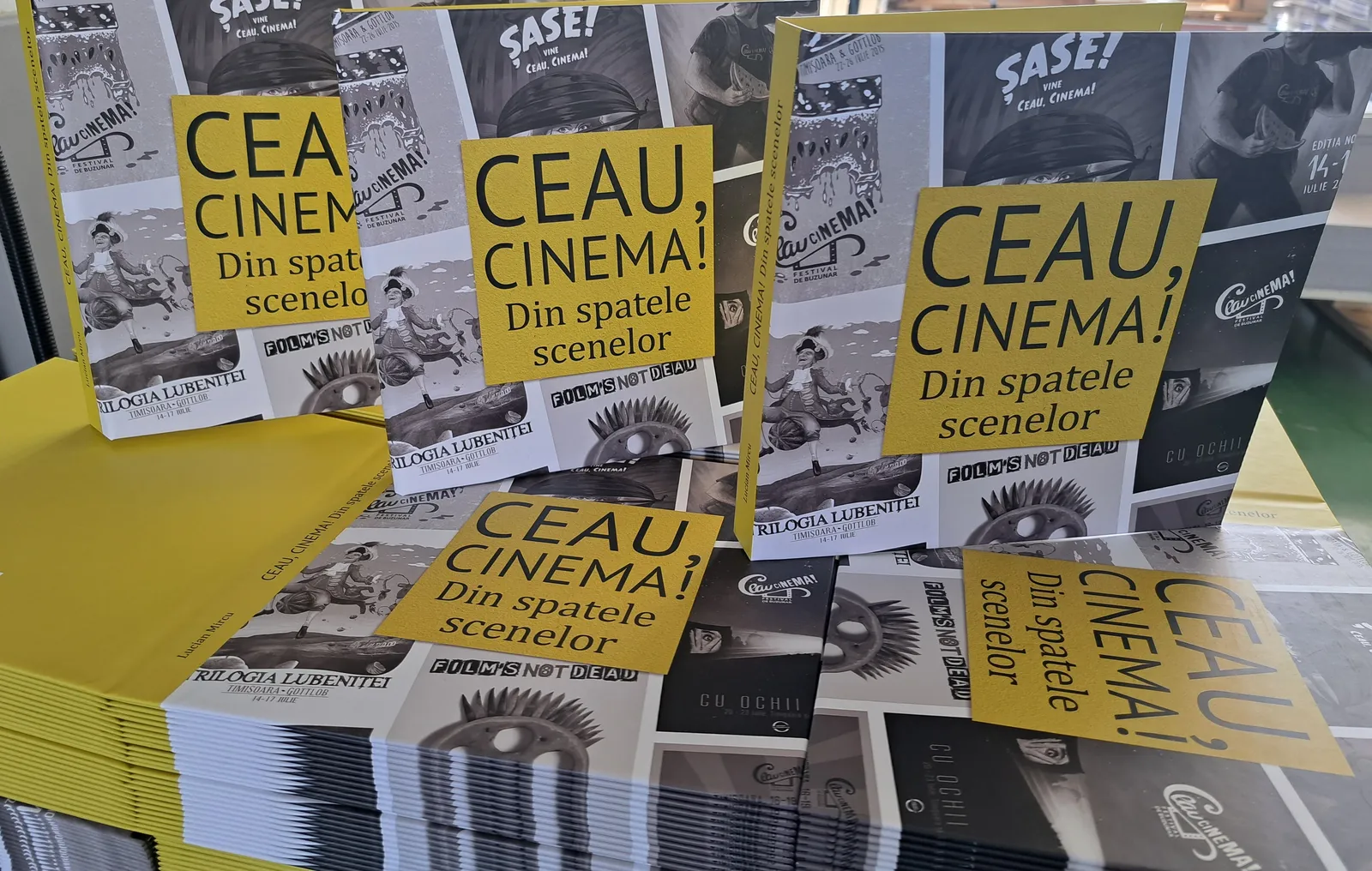 Lansare de carte | Ceau, Cinema! Din spatele scenelor