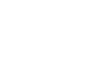 Logo Asociația Inițiativa din Timișoara