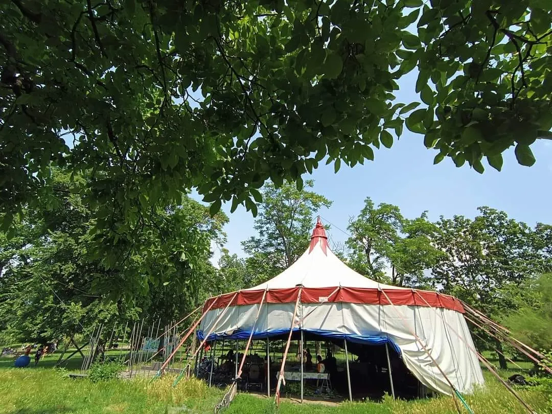 Stagiu de vară la cortul de circ