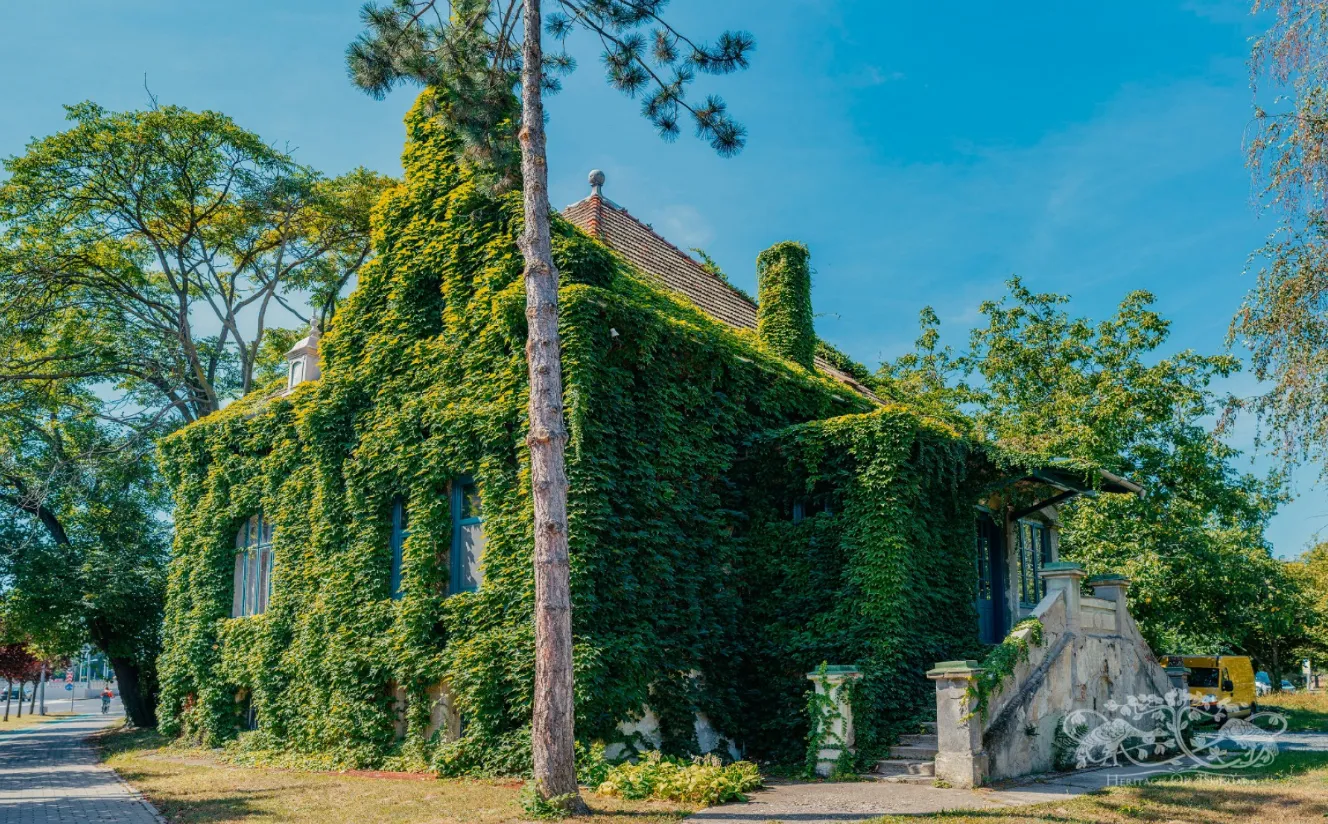 The House with Ivy