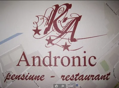 Logo Pensiunea Andronic