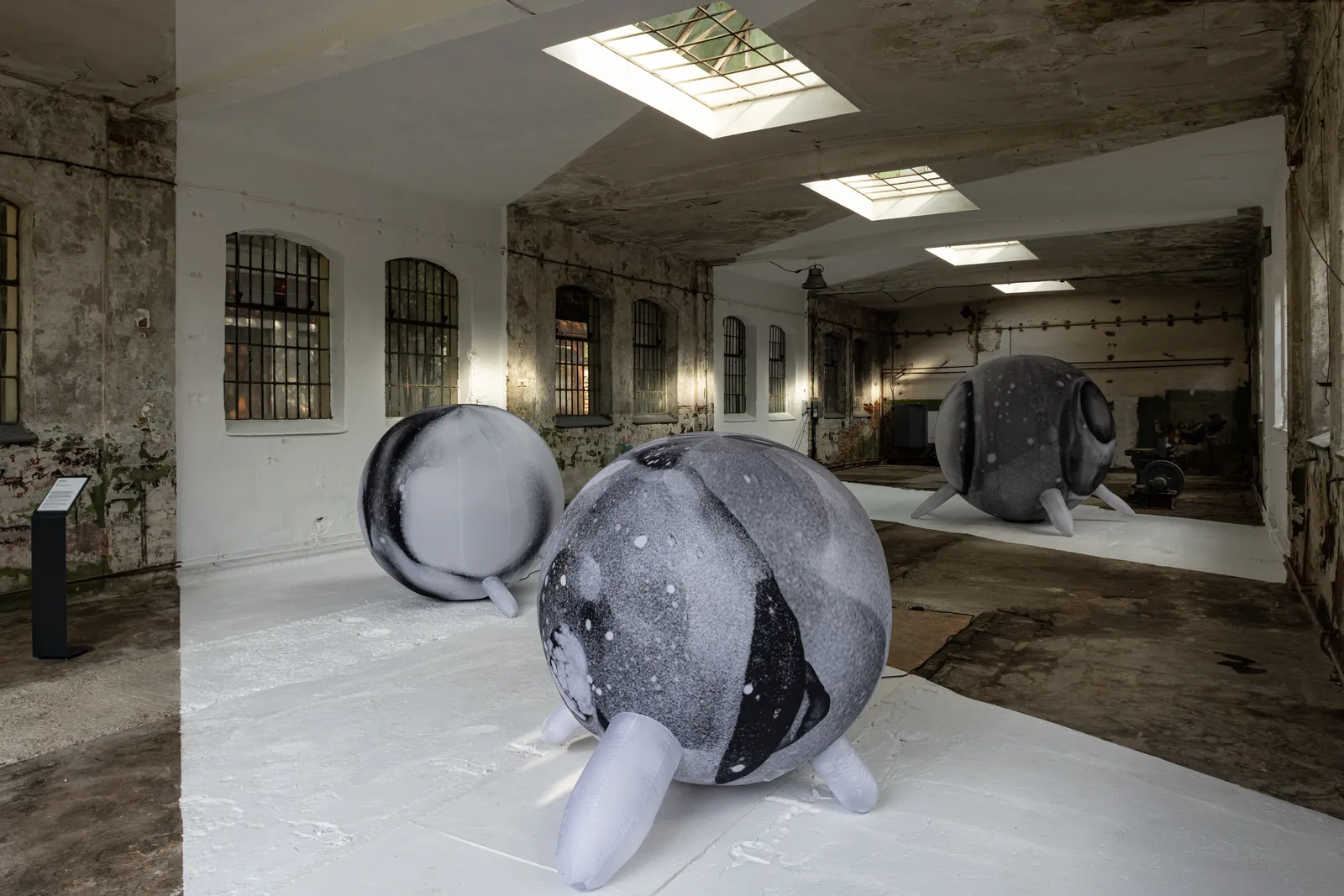 Bienala Art Encounters: My Rhino is Not a Myth. art science fictions