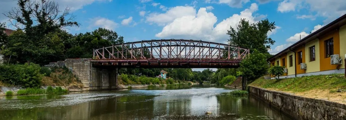 The Iron Bridge | Iosefin