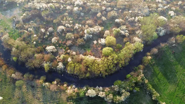 Atenție, apă!