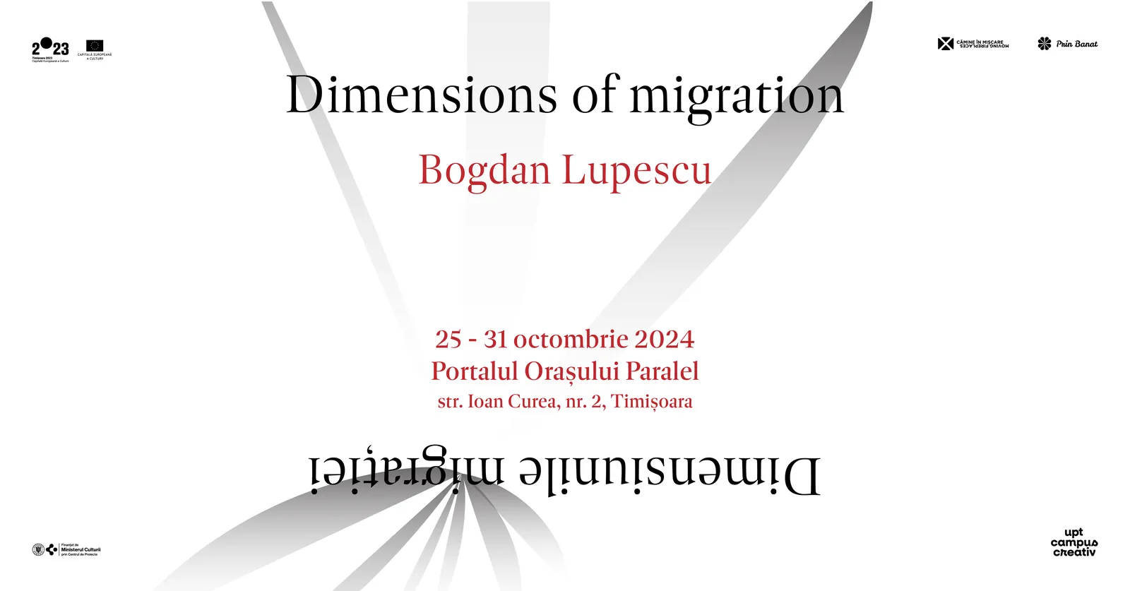 Dimensions of Migration | Bogdan Lupescu